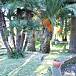 Villa Jardín Alicante Dénia Villa