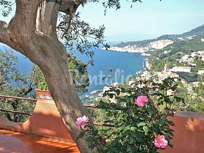 Villa Napoli Massa Lubrense Villa