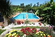 Villa for 14-17 people with swimming pool Viana do Castelo