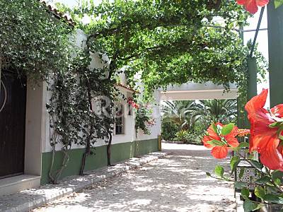 Villa Exterior del aloj. Valencia Polinyà de Xúquer Villa