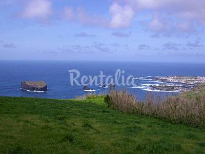 House Environment Isle of São Miguel Ponta Delgada House