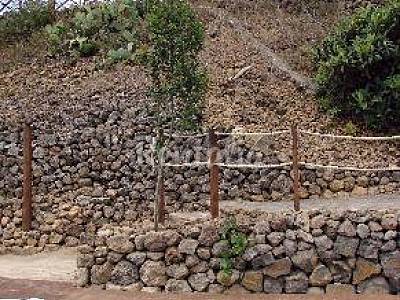 Ancien Piscine Ténériffe Icod de los Vinos Maison