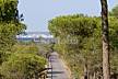 Apartamento en alquiler a 700 m de la playa Alicante