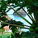 Villa  Ilha da Madeira Machico Casa