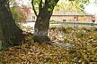 El Molino en otoño