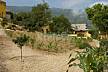 La Tanquera y Las Rosas - Maison pour 10-30 personnes Ténériffe