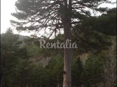 Casa Rural y Aptos Turísticos Sanahuja - Casa en alquiler Teruel