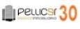 PELLICER INMOBILIARIA